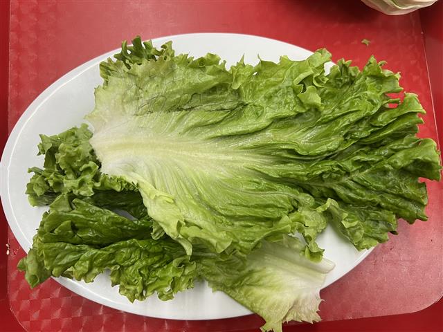 Long leaves lettuce (Raw)