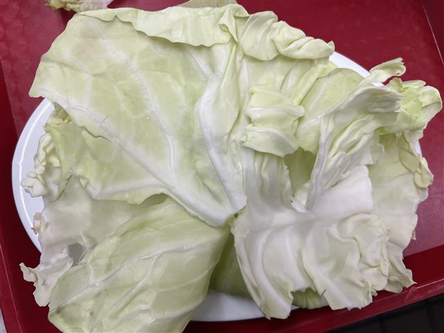 Cabbage (Raw)