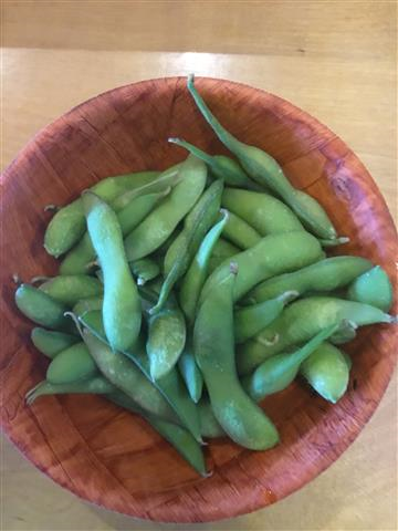 Edamame  