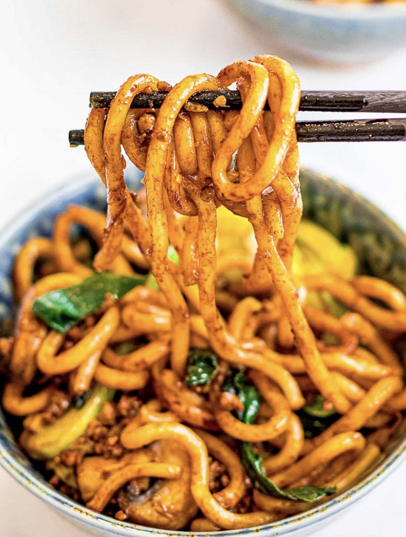 Stir Fried Udon Noodles