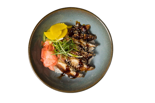 Unagi (Eel) Rice Box